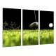 MULTI Wood Printings, Picture Wall Hanging, Golf, Ball, Grass, Sport