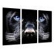 MULTI Wood Printings, Picture Wall Hanging, Animal Panter, Eyes Blue