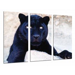 MULTI Wood Printings, Picture Wall Hanging, Panter in the Stone, Animal, Feline