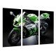 MULTI Wood Printings, Picture Wall Hanging, Motobike Kawasaki ZX-10R, Green, Road