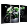 Cuadro Moderno Fotografico base madera, Moto Kawasaki ZX-10R, Verde, Carretera
