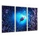 MULTI Wood Printings, Picture Wall Hanging, Seal Swimming, Bank of Fish in the Sea, Animal
