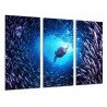 MULTI Wood Printings, Picture Wall Hanging, Seal Swimming, Bank of Fish in the Sea, Animal