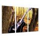 MULTI Wood Printings, Picture Wall Hanging, Guitar in the Nature, Music, Arboles