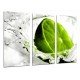 MULTI Wood Printings, Picture Wall Hanging, Lemon, Lime, Water, Fruit