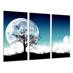 Cuadro Moderno Fotografico base madera, Naturaleza en la Noche, Luna LLena, Arbol