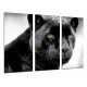 MULTI Wood Printings, Picture Wall Hanging, Panter, Jaguar, Feline, Animal Wild