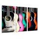 MULTI Wood Printings, Picture Wall Hanging, Guitars Spanish of Colors, Flamenco