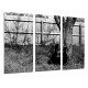 MULTI Wood Printings, Picture Wall Hanging, Guitar in the Nature, White and Black Music, Arboles