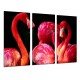 MULTI Wood Printings, Picture Wall Hanging, Animal Flamenco Roses, Red, Life Wild