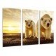 MULTI Wood Printings, Picture Wall Hanging, Animal Bear Polar, Mama and baby in Sunset, Life Wild