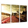 Cuadro Moderno Fotografico base madera, Paisaje Vias Tren vintage en Otono