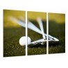 Cuadro Moderno Fotografico base madera, Deportes Golf, Palos y Pelota sobre el Cesped