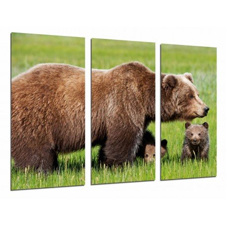 MULTI Wood Printings, Picture Wall Hanging, Animal Bear brown and  Bears in the Nature Wild