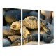 MULTI Wood Printings, Picture Wall Hanging, Animal baby of Turtle in Stones of Playa