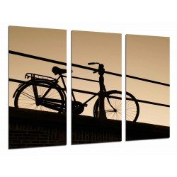 Cuadro Moderno Fotografico base madera, Paisaje Bicicleta de Paseo Atardecer, Bici
