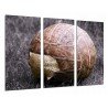 Cuadro Moderno Fotografico base madera, Paisaje de Balon Futbol Vintaje, Pelota, Deporte