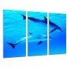 MULTI Wood Printings, Picture Wall Hanging, Animal Couple of Dolphins Swimming in the Mar