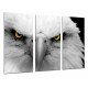 MULTI Wood Printings, Picture Wall Hanging, Animal Eagle Imperial White, Eyes Yellows