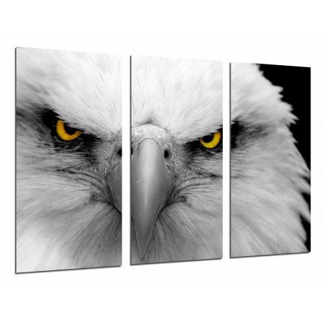 MULTI Wood Printings, Picture Wall Hanging, Animal Eagle Imperial White, Eyes Yellows