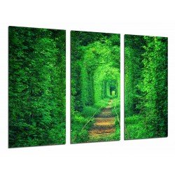 Cuadro Moderno Fotografico base madera, Paisaje Vias Tren Fantasia, Hierva Verde