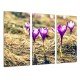 MULTI Wood Printings, Picture Wall Hanging, Decoration of Flowers Purple Nature