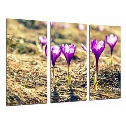 Cuadro Moderno Fotografico base madera, Decoracion de Flores Moradas Naturaleza