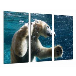 MULTI Wood Printings, Picture Wall Hanging, Animal Wild Bear Polar Swimming, Diving, Hunting