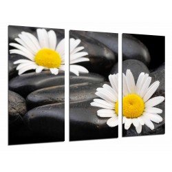 MULTI Wood Printings, Picture Wall Hanging, Decoration Zent Flowers, Daisies on Stones