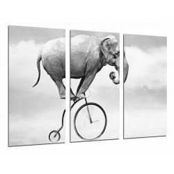 MULTI Wood Printings, Picture Wall Hanging, Hipster, Animal Elefant in Bicicleta, White and Negro