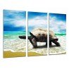 Cuadro Moderno Fotografico base madera, Oceano, Animal Tortuga en la Playa,