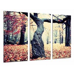 MULTI Wood Printings, Picture Wall Hanging, Landscape of Autumn, Tree Sheetrasca in the Bosque