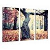 Cuadro Moderno Fotografico base madera, Paisaje de Otono, Arbol Hojarasca en el Bosque