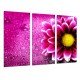 MULTI Wood Printings, Picture Wall Hanging, Decorarion Flower, Daisy flower Rosa