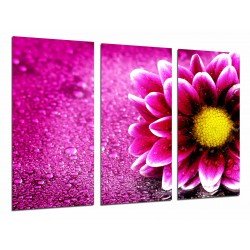 MULTI Wood Printings, Picture Wall Hanging, Decorarion Flower, Daisy flower Rosa