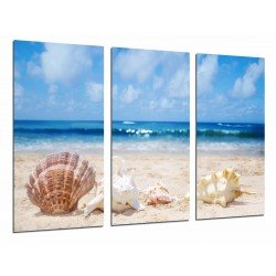 MULTI Wood Printings, Picture Wall Hanging, Landscape of Beach, Wave in the Sea, Conch, Shell