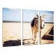 MULTI Wood Printings, Picture Wall Hanging, Landscape Desert, Animal Donkey