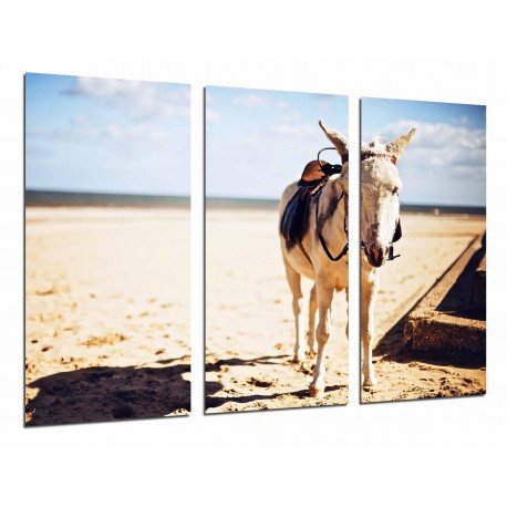 MULTI Wood Printings, Picture Wall Hanging, Landscape Desert, Animal Donkey