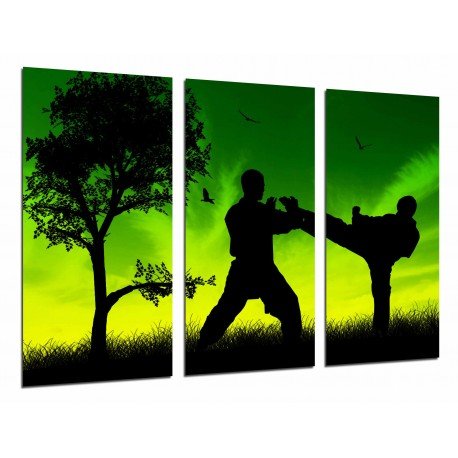 MULTI Wood Printings, Picture Wall Hanging, Motivation Sport taekwondo, Mans Figthndo