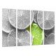 Cuadro Moderno Fotografico base madera, Original Limon Blanco y Negro, Fruta Verde