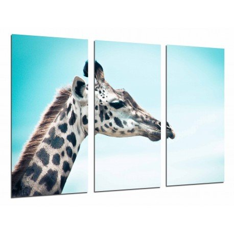 Cuadro Moderno Fotografico base madera, Decoracion Animal Naturaleza Jirafa, Cielo Azul