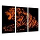 Cuadro Moderno Fotografico base madera, Animal Salvaje Tigre, Felino Naranja y Negro, Naturaleza