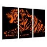 Cuadro Moderno Fotografico base madera, Animal Salvaje Tigre, Felino Naranja y Negro, Naturaleza