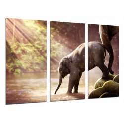 Cuadro Moderno Fotografico base madera, Atardecer Lago Naturaleza Animal Cria Elefante y Madre