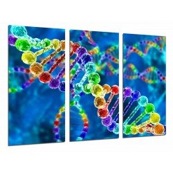Cuadro Moderno Fotografico base madera, Biologia, Ciencia, Cromosoma, Cadena ADN Colores