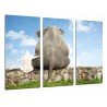 Cuadro Moderno Fotografico base madera, Paisaje Amistad con Animales Elefante y Nina, Infantil