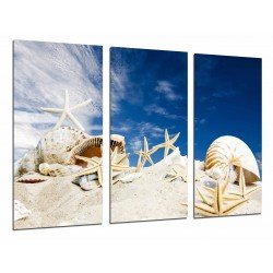 Cuadro Moderno Fotografico base madera, Paisaje Maritimo, Playa, Caracolas, Estrellas en la Arena
