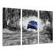 Cuadro Moderno Fotografico base madera, Coche Carreas Subaru Azul Paisaje Bosque, Blanco y Negro