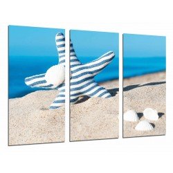 Cuadro Moderno Fotografico base madera, Paisaje Playa Mar Cielo, Estrella Azul y Conchas