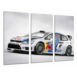 Cuadro Moderno Fotografico base madera, Deporte Coche Carrera Rally Volkswagen Blanco Red Bull